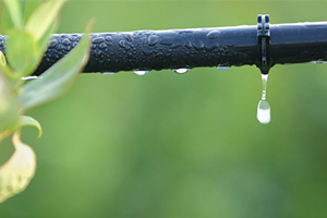 Drip Irrigation Tubing